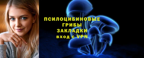 герыч Алзамай