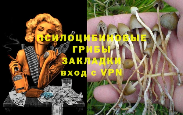 гашик Саяногорск
