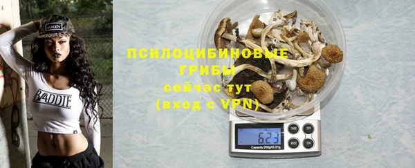 прущие крисы Горняк