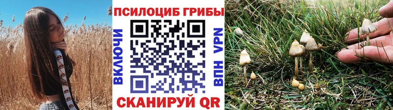 наркотики  Болохово  Псилоцибиновые грибы ЛСД 
